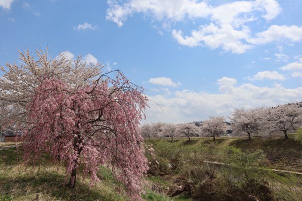 rblog-20180425080011-02.jpg