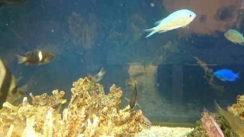 rblog-20170423172329-03.jpg