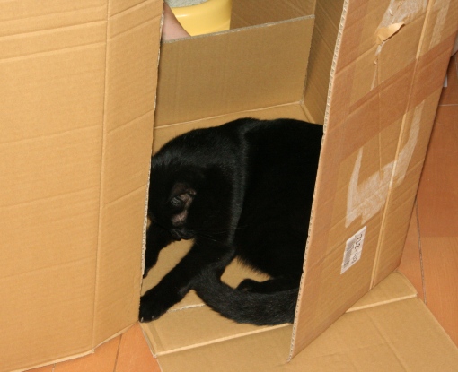 20151126ｸﾘ04.jpg