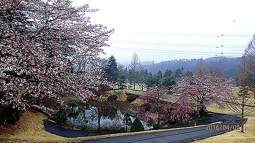 P4023121h2.jpg