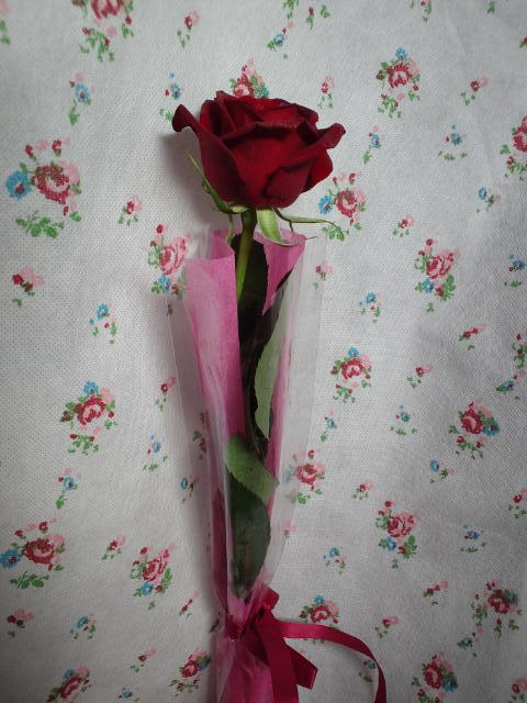 セクゾン　バラ　３