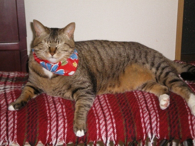 IMGP5993 (400x300).jpg