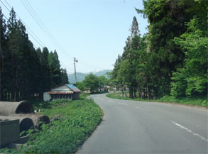 松1.jpg