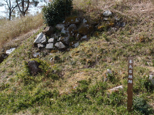 水口岡山城石垣