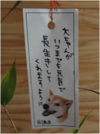ken願い7.jpg
