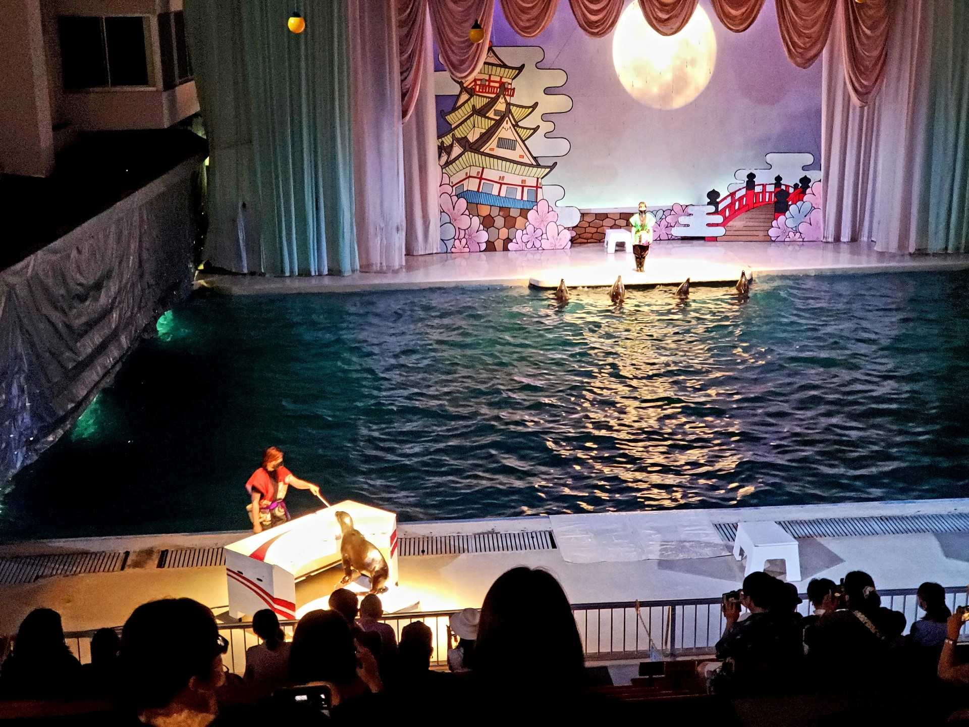 水族館訪問 京急油壺マリンパーク【後編】 | 魚と日常ブログ - 楽天ブログ