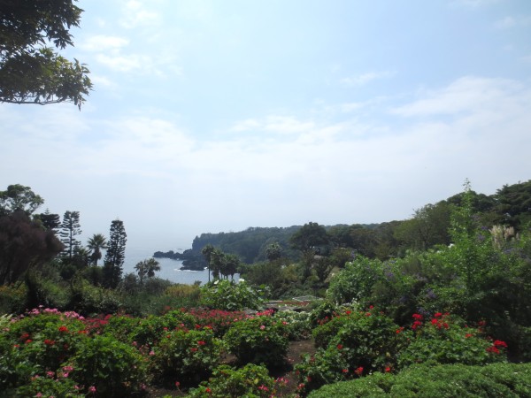 伊豆四季の花公園