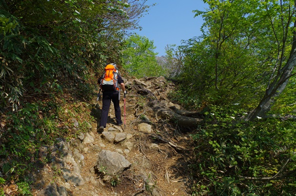 IMGP1136.JPG