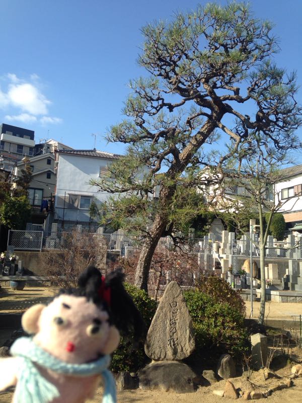 rblog-20181228142659-02.jpg