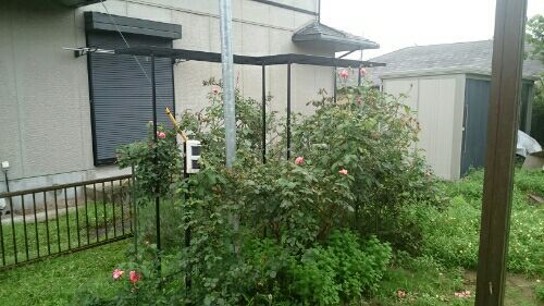 rblog-20180630160614-00.jpg