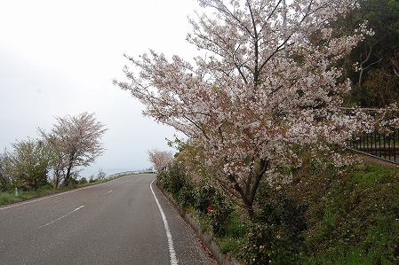 s-DSC_0436.jpg