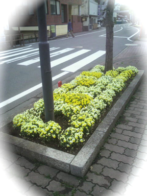P1010754.jpg