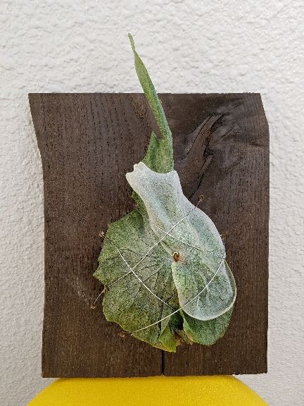 rblog-20180408121938-05.jpg