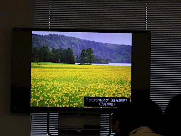 rblog-20170326135921-08.jpg