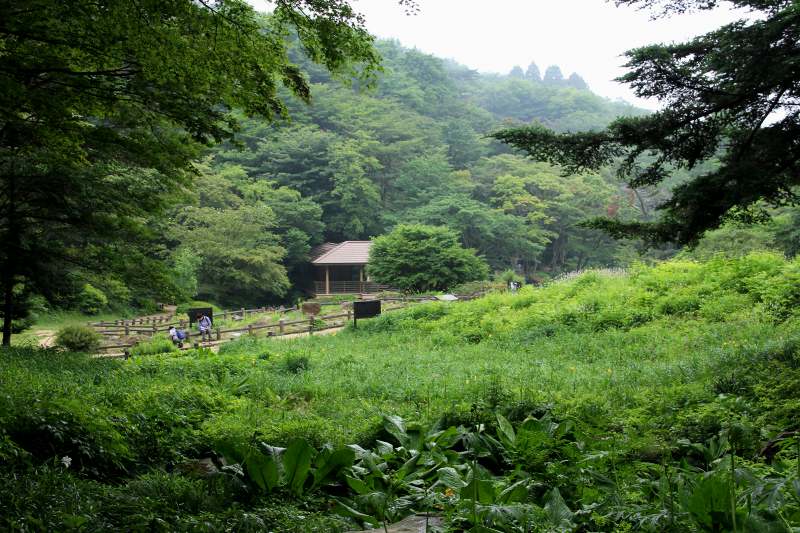 六甲山高山植物園_02.jpg