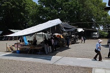 3境内の屋台.jpg