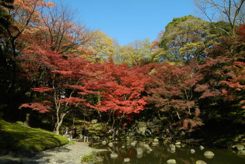 小石川後楽園