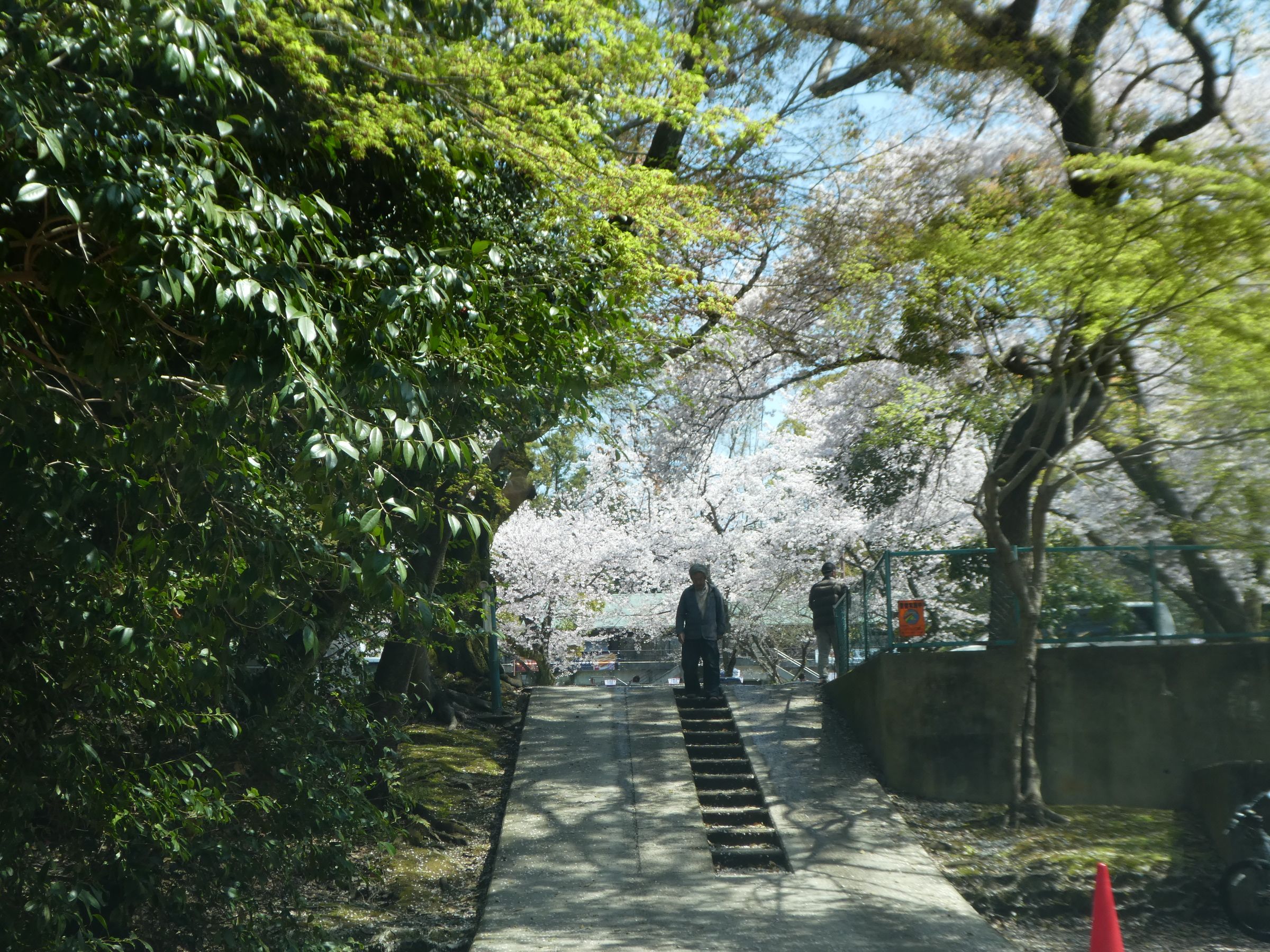 4 8 石清水八幡宮とランチ わかくさ日記 楽天ブログ