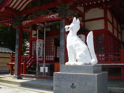 IMGP5959 (400x300).jpg