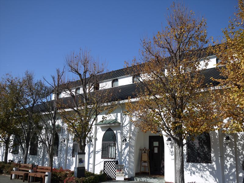 P1220423_R.JPG