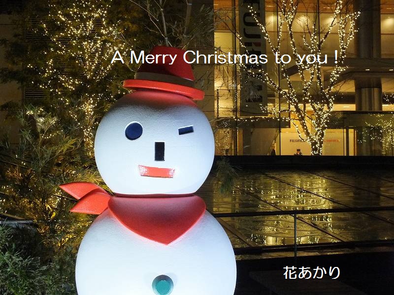 2012クリスマス_花あかりさん