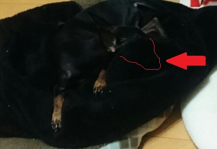 1501256535762.jpg