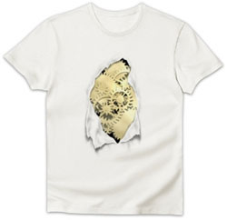UPSOLD・Ｔシャツ特集2