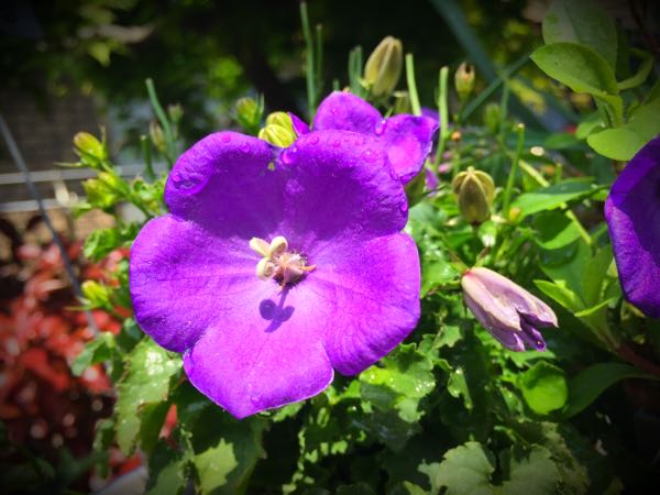 rblog-20160430164719-08.jpg