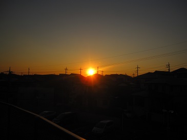 IMG_2595.JPG