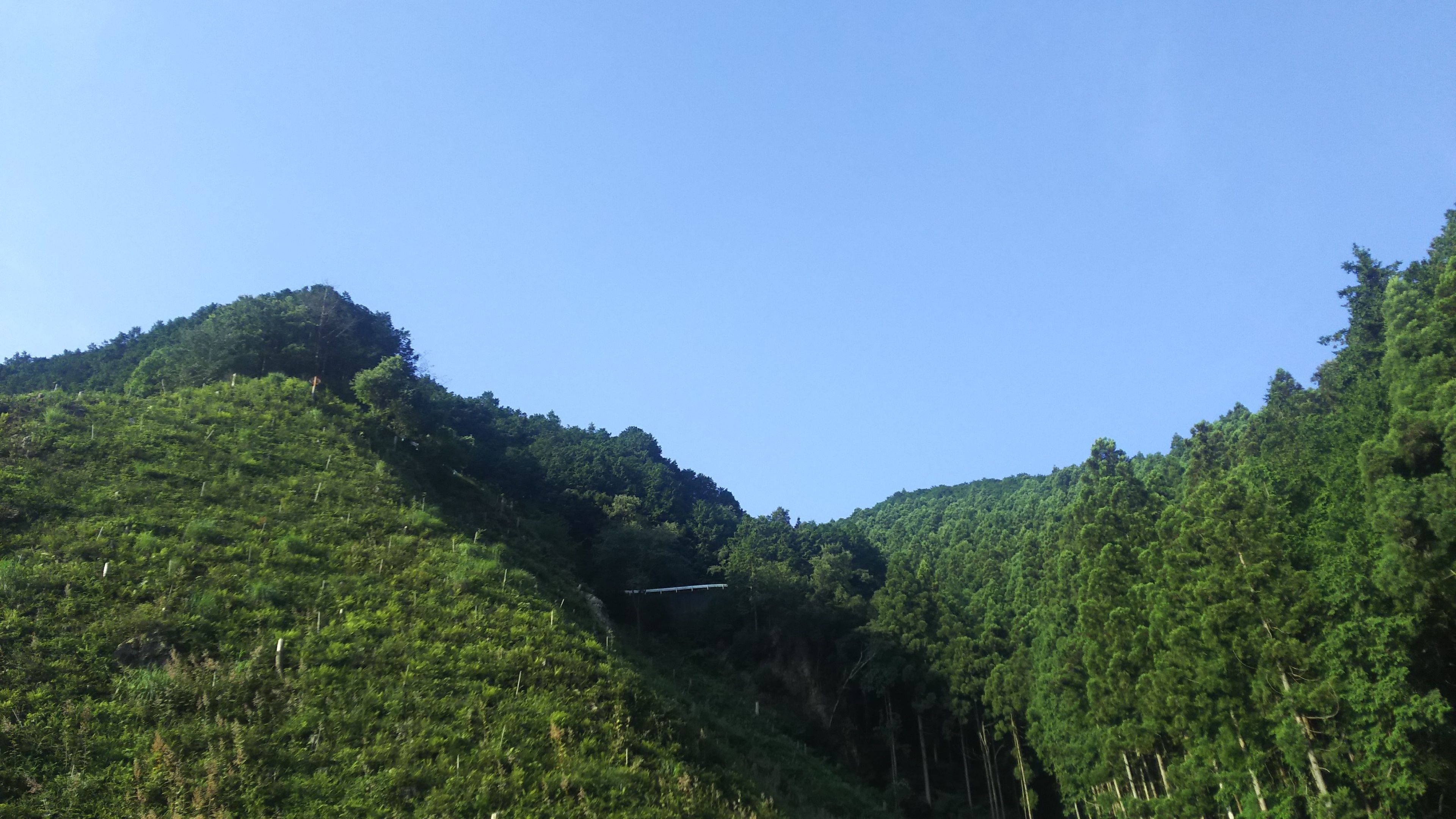 妻と坂道ランニング（毛呂山～ユガテ付近） | スキー＆ランニング＆登山＆旅行の日記 - 楽天ブログ