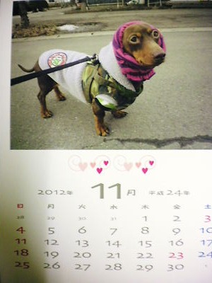 2012_1031_194416-SANY0001.JPG