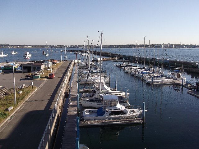 佐島マリーナ4.jpg