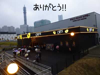 キャッツ１０.JPG
