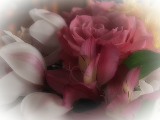 PC241267 のコピー.JPG