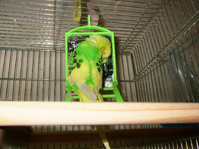 DSCF0466.jpg