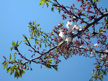 130415-2.jpg