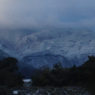 朝の風景1228.jpg