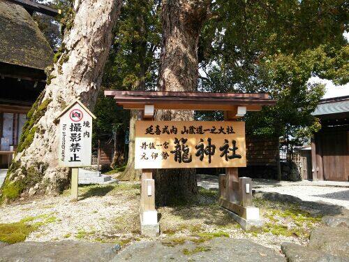 rblog-20190324221230-06.jpg