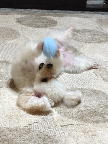 20141122_03.jpg