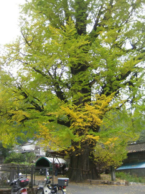 IMG_9807.JPG