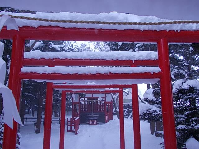 2012.2.12　雪