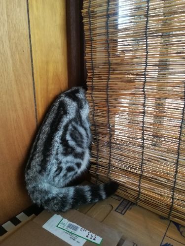 rblog-20171010133826-01.jpg