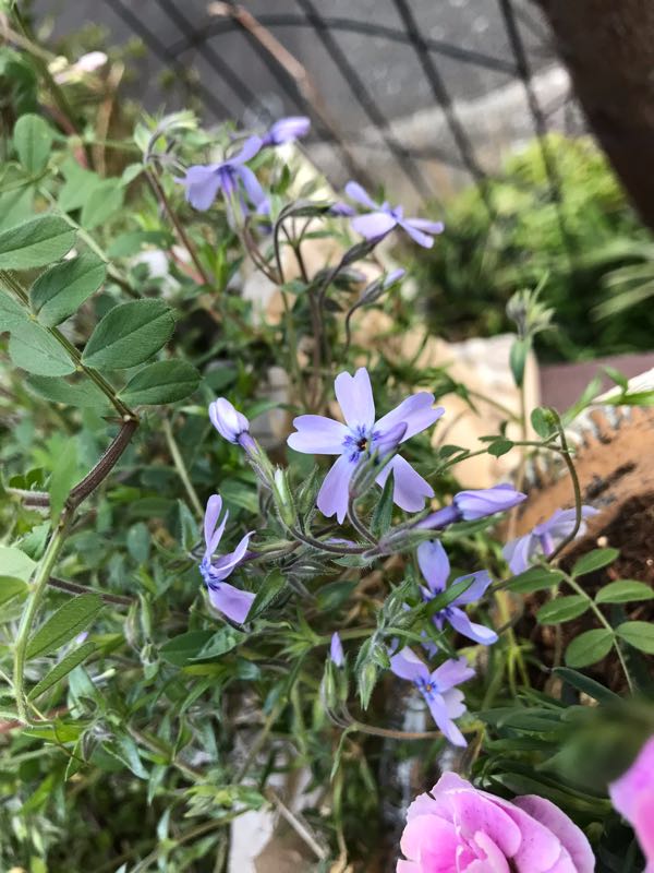 rblog-20190324174434-05.jpg