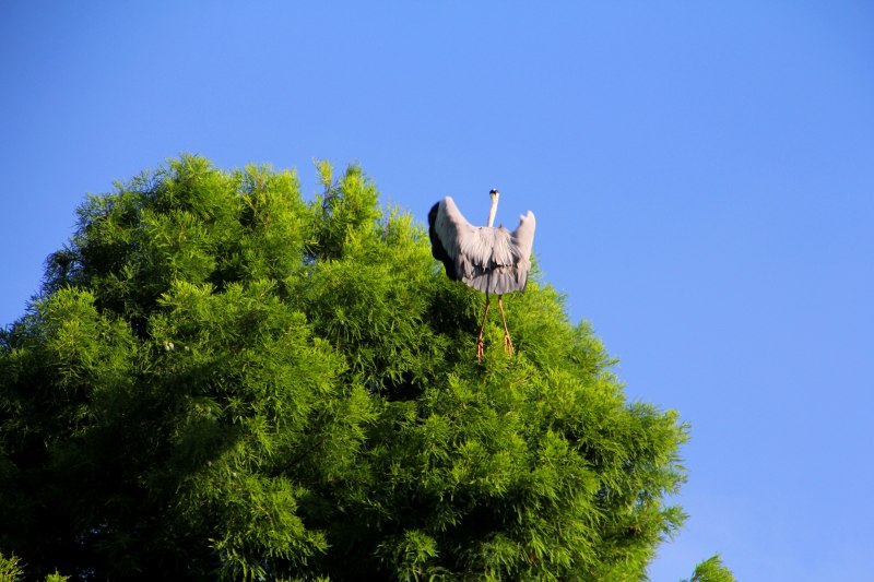 大泉緑地_3.jpg