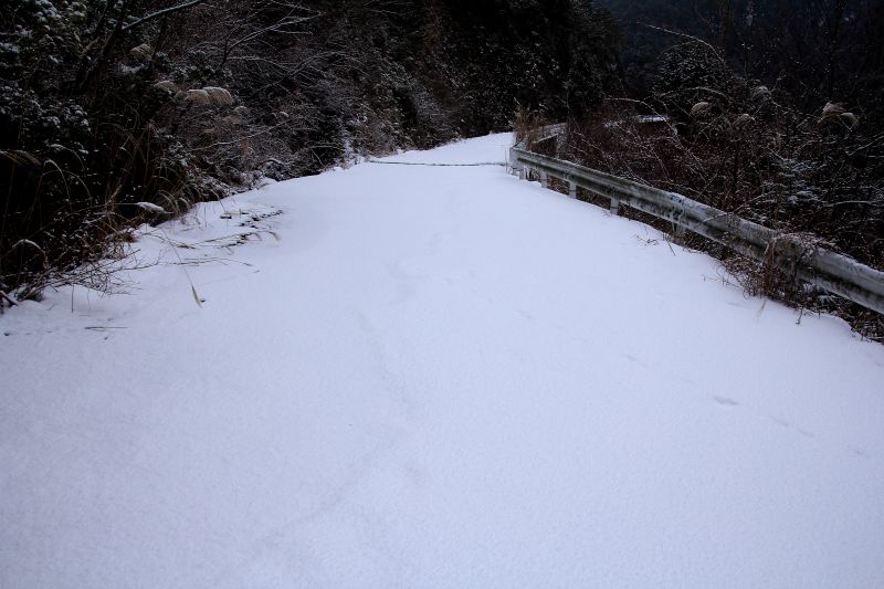 川上村_003.jpg