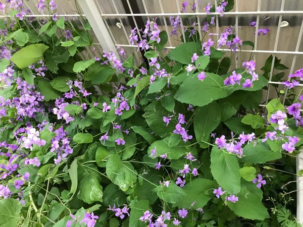 rblog-20190423182704-00.jpg