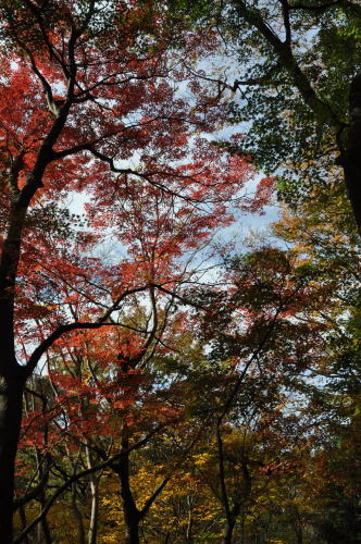 寺家公園