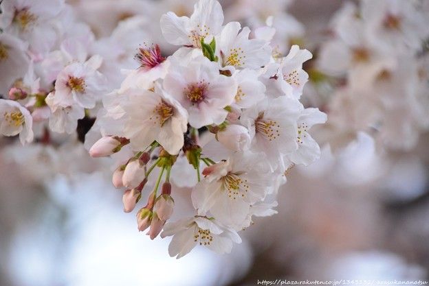 歴史の中で忘れ去られた4つの虐殺