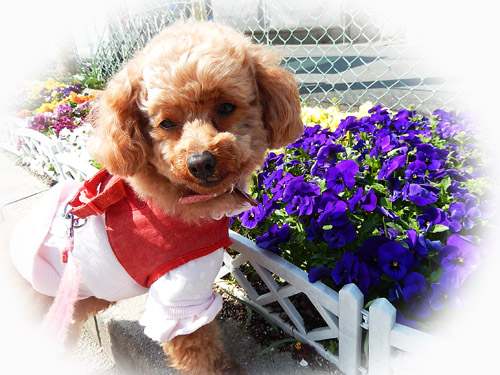 こころ３０