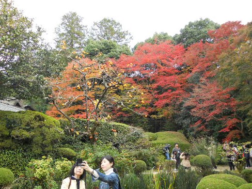 2015-11-21 詩仙堂・下段庭園の賑わい.jpg